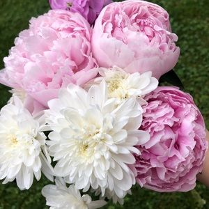 Meet your Posher, Anj